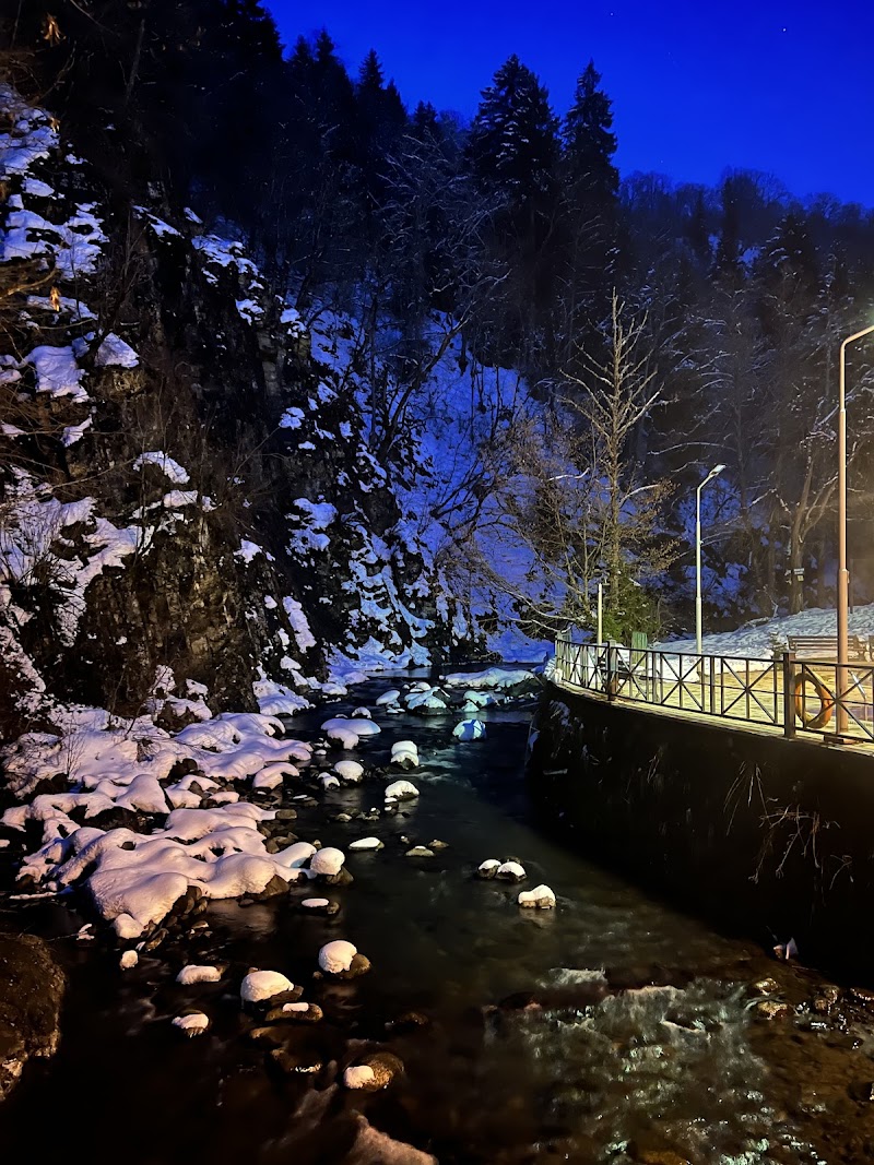 Borjomi Sulfur Pools - Borjomi Sulfur Pools, 9 ბარათაშვილის ქუჩა, Borjomi 1200, Georgia