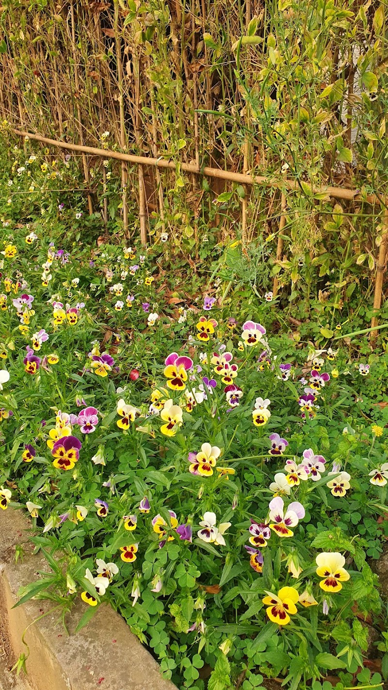 Lady Hydari Park - Lady Hydari Park Lower, Lachumiere, Shillong, Meghalaya 793001, India
