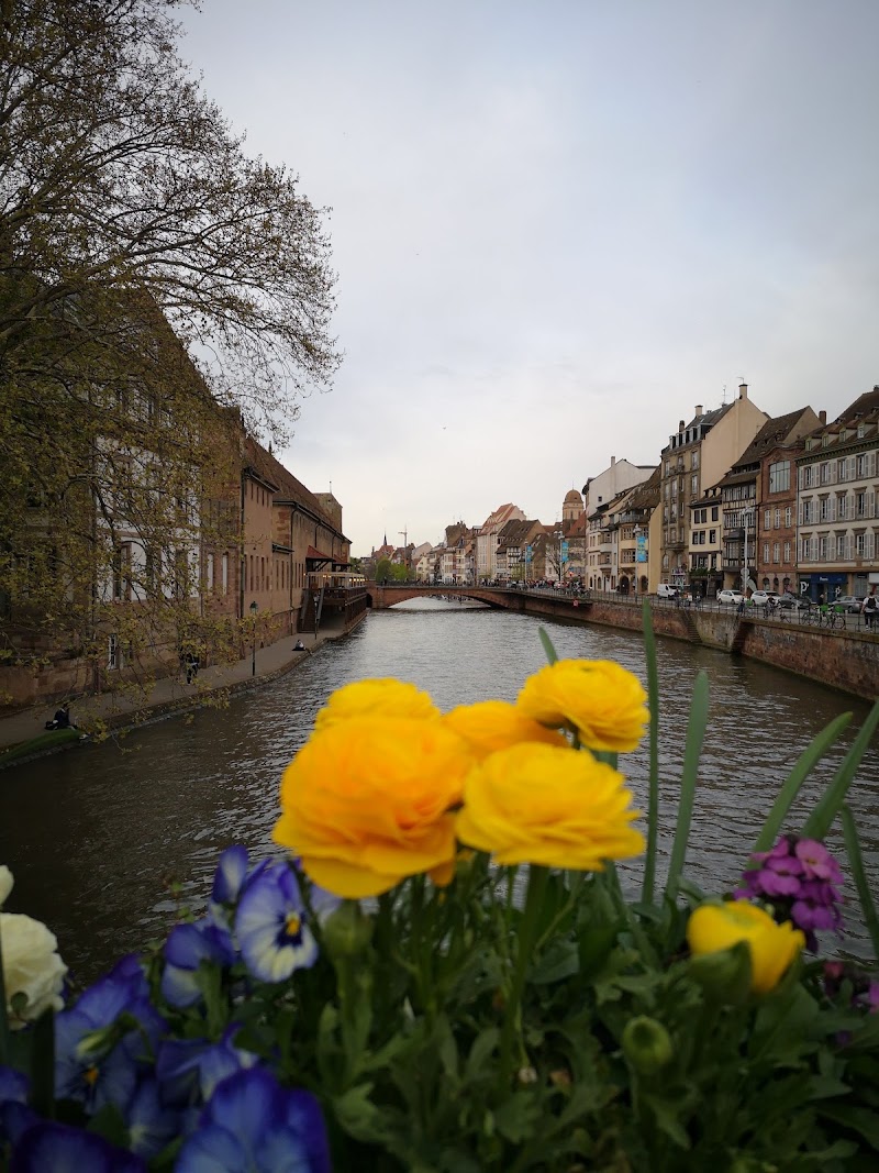 Strasbourg - Strasbourg Strasbourg, France