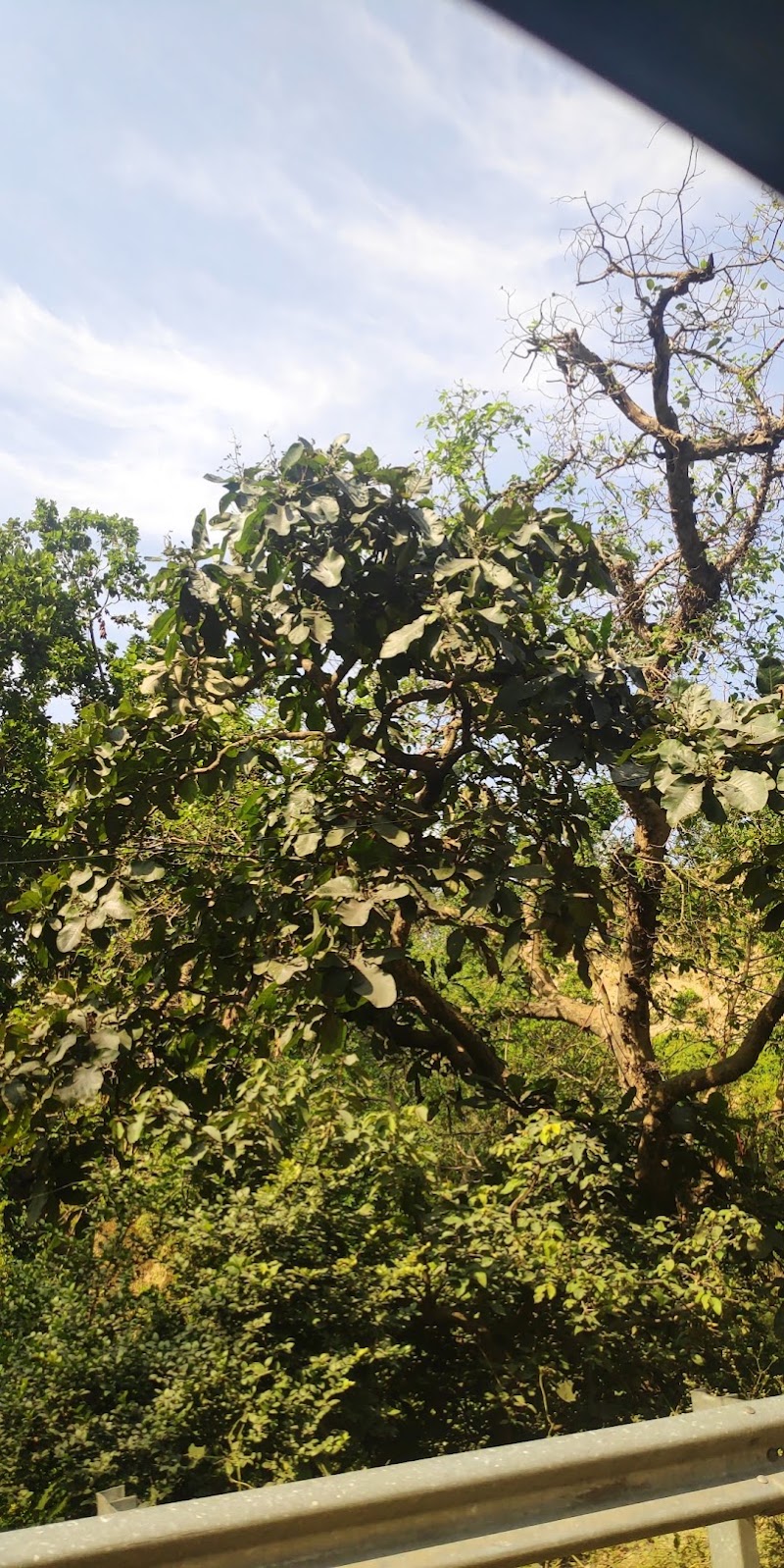 Shivalik Hills - Shivalik Hills, India