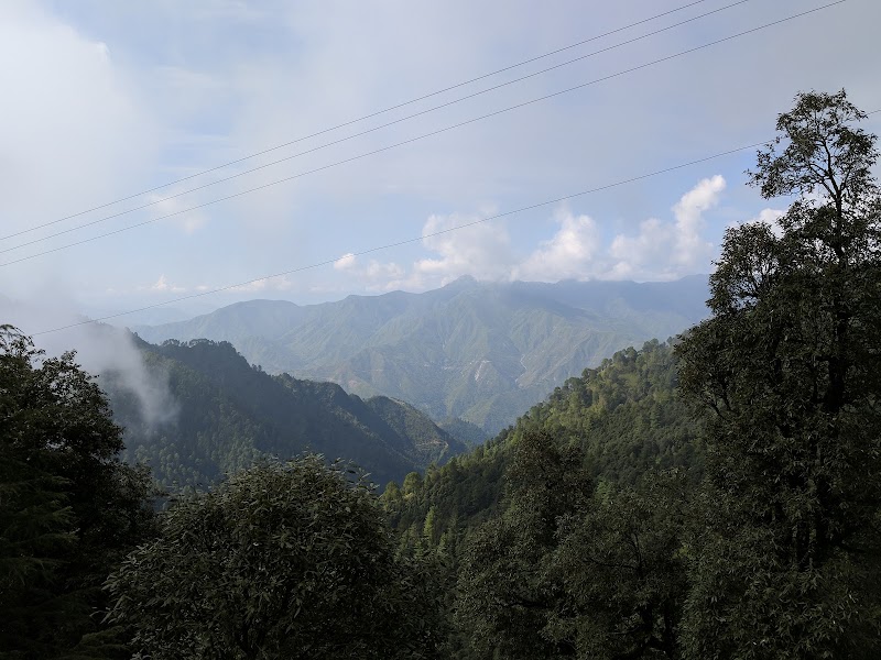 Jabarkhet Nature Reserve, Mussorie - Jabarkhet Nature Reserve, Mussorie Nature Reserve, Jabarkhet, Landour, Mussoorie, Uttarakhand 248179, India