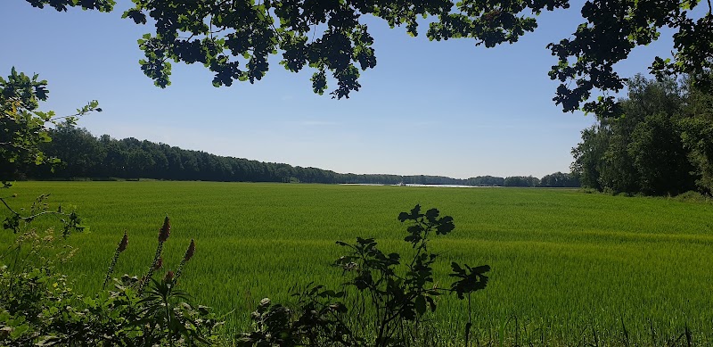 Helden - Helden, Netherlands