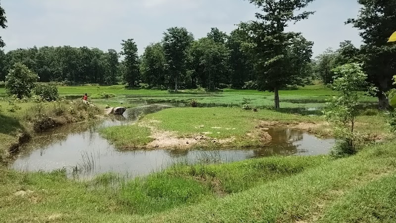 Bhanpur gp tikrapada - Bhanpur gp tikrapada, Tikrapada, Bhanpur, Odisha 766104, India