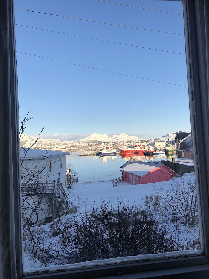 Lofoten Vandrehjem - Lofoten Vandrehjem Kræmmervikveien 3, 8373 Ballstad, Norway
