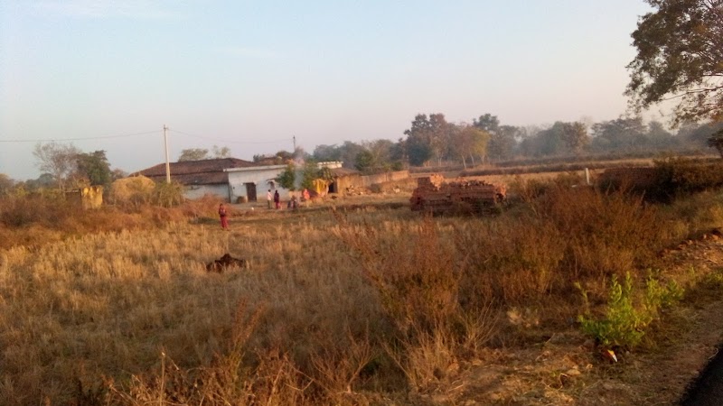 Tulsipara,/T.H./, chhattisgarh darlipara - Tulsipara,/T.H./, chhattisgarh darlipara, RJ6F+7H4, Darlipara, Chhattisgarh 493890, India