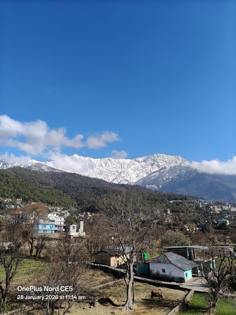 Triund Trek - Triund Trek Trail to Triund Hill, Dharamshala, Himachal Pradesh 176216, India