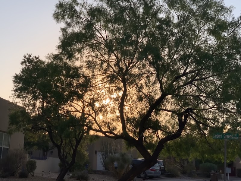 Las Cruces - Las Cruces Las Cruces, NM, USA