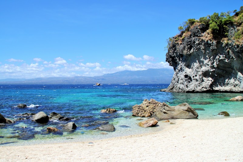 Apo Island Pano Collects, Philippines - Apo Island Pano Collects, Philippines, 37H8+G7R, Dauin, Negros Oriental, Philippines