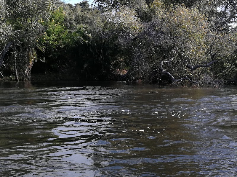 Zambezi River - Zambezi River