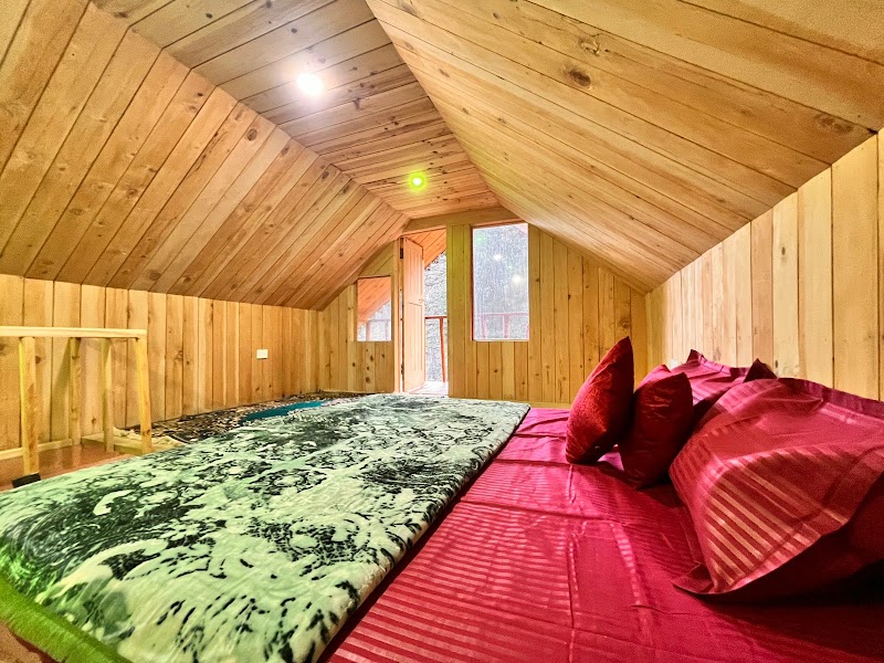Jibhi Alpine heaven forest view - Jibhi Alpine heaven forest view p/o, Jibhi, Tandi, Himachal Pradesh 175123, India
