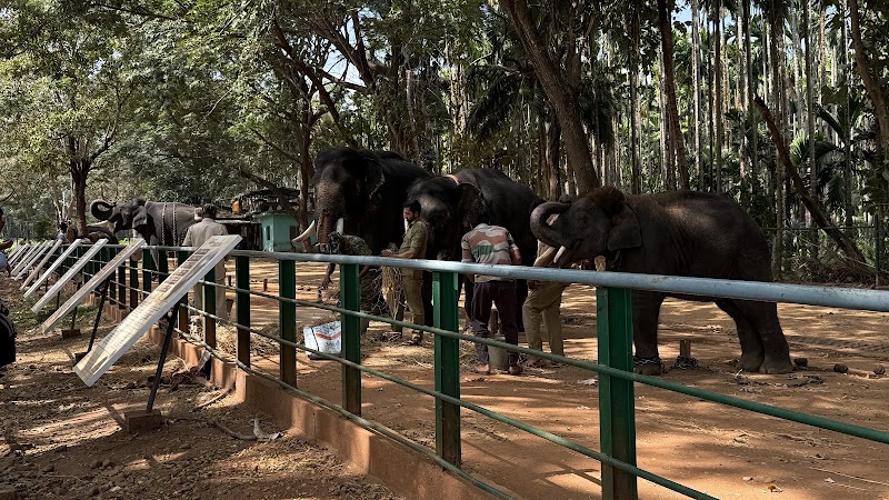 Jungle Lodges and resorts - Sakrebyle - Jungle Lodges and resorts - Sakrebyle Sakrebyle, Shivamogga, Karnataka 577202, India