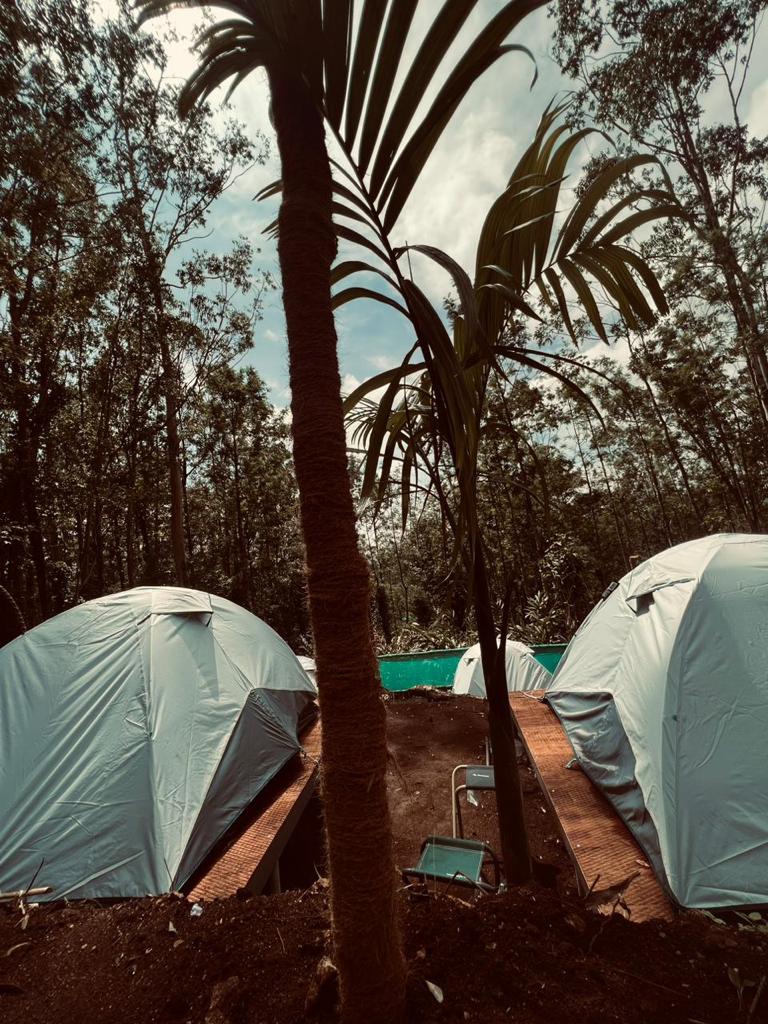 Spice Stays - Camping, Trekking, Kolukkumalai Jeep Safari & Sunrise - Spice Stays - Camping, Trekking, Kolukkumalai Jeep Safari & Sunrise, Bodimethu - Suryanallei Rd, Muthuvan Kudi, Suryanelli, Kerala 685618, India