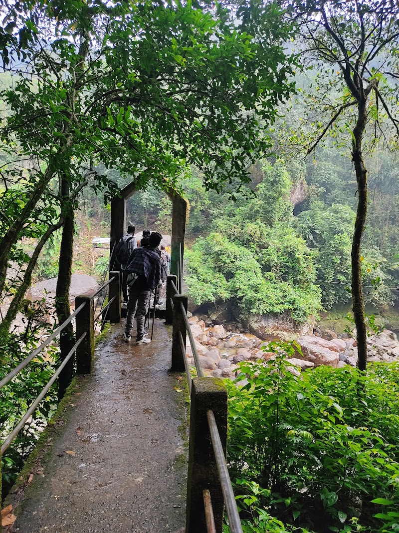 Double Decker Living Root Bridge Meghalaya - Double Decker Living Root Bridge Meghalaya 7M2C+GQ5, Nongriat, Meghalaya 793108, India