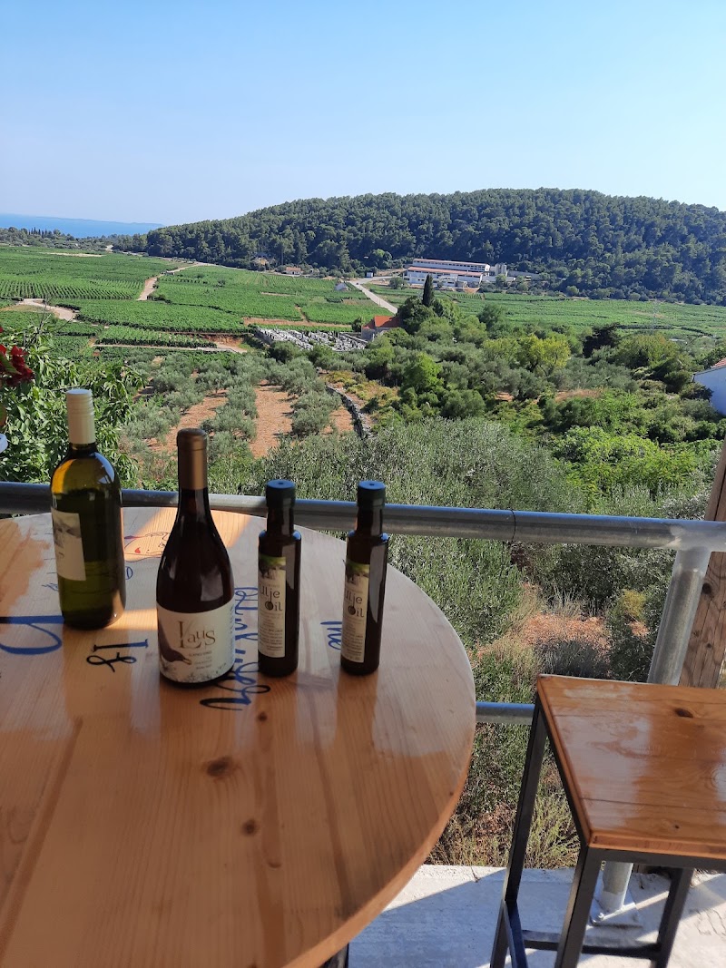O.P.G. Laus - Winery - O.P.G. Laus - Winery, D118 202, 20273, Čara, Croatia