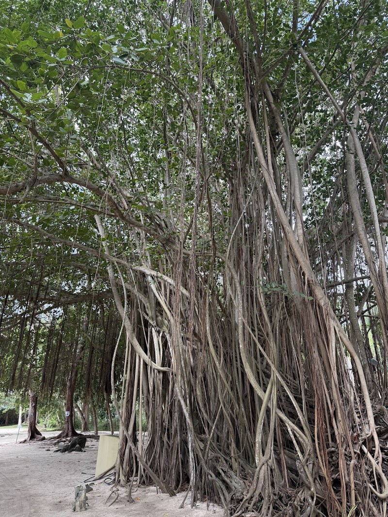 Ile aux Cerfs - Ile aux Cerfs PRV4+6J, Trou d'Eau Douce, Mauritius