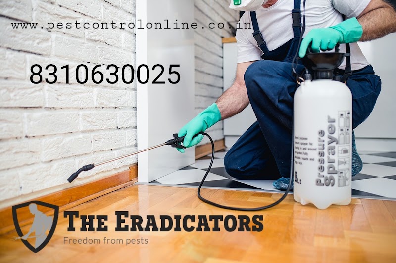 The Eradicators JP Nagar - Best Pest Control Services in Bangalore - The Eradicators JP Nagar - Best Pest Control Services in Bangalore, A-5,G.R TEJAS APARTMENT, 14th Main Rd, Kothnur, RBI Layout, JP Nagar 7th Phase, J. P. Nagar, Bengaluru, Karnataka 560078, India