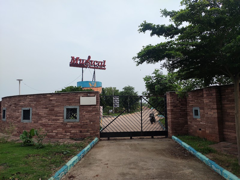Musical fountain - Musical fountain Sector 19, Kotara Bhantha, Atal Nagar-Nava Raipur, Chhattisgarh 492018, India