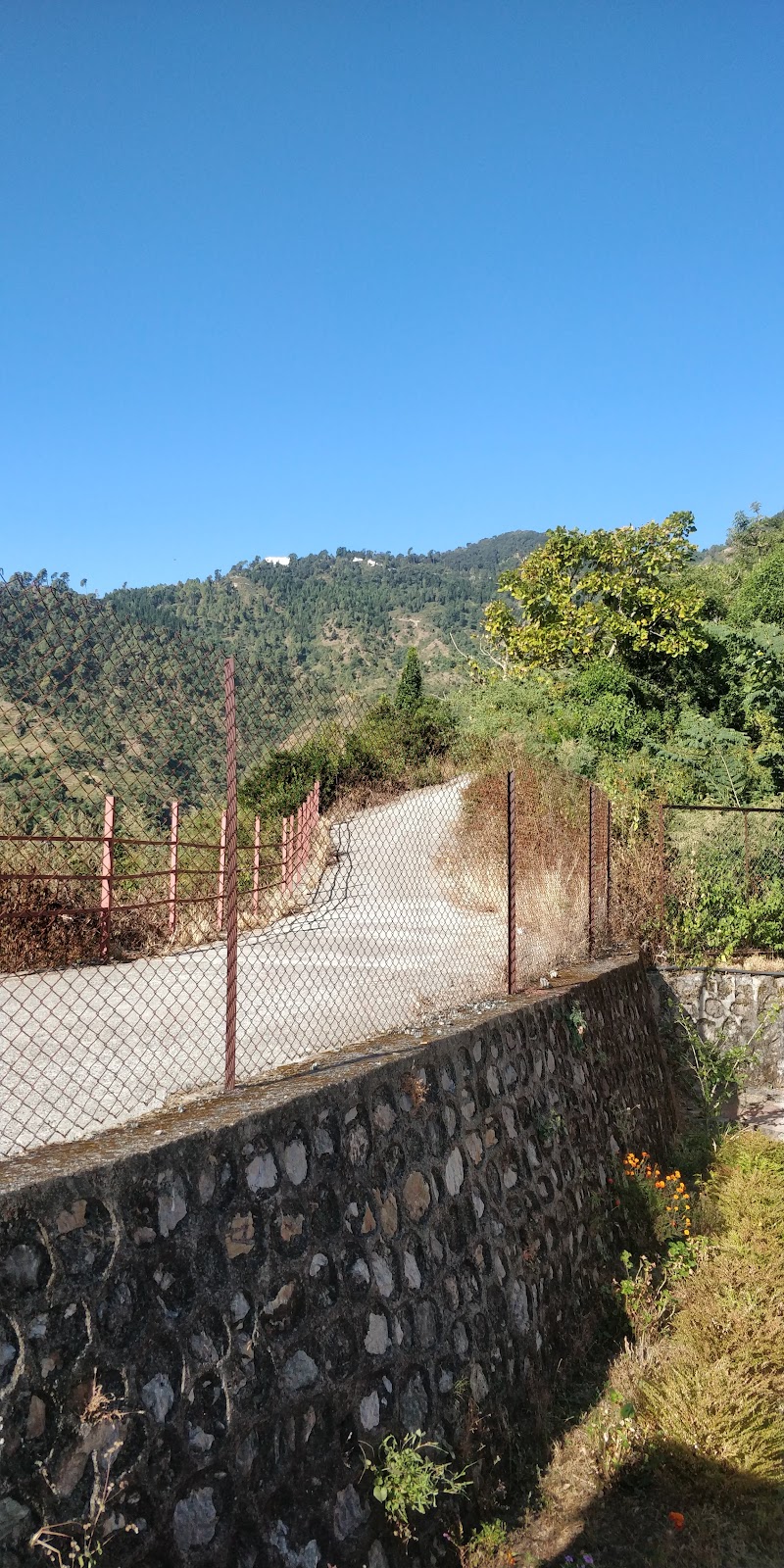 Cosy Homes Villa BnB Homestay - Cosy Homes Villa BnB Homestay, Talla, Gethiya, Naina Range, Uttarakhand 263127, India