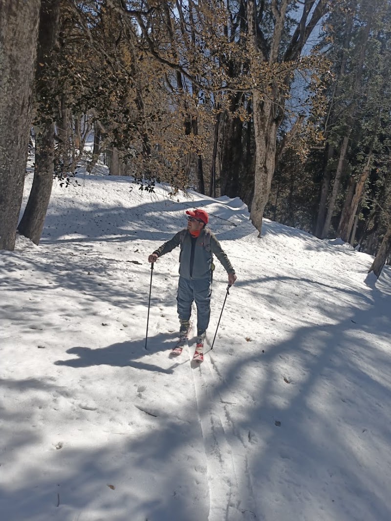 Hamta 360 Mountain Hut & Camps - Hamta 360 Mountain Hut & Camps, Curve 35, AD hydro Road, Manali, Himachal Pradesh 175143, India