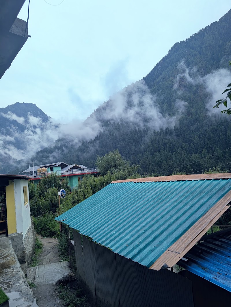 Wok in the Woods - Wok in the Woods 277X+6QH, Kasol, Himachal Pradesh 175105, India