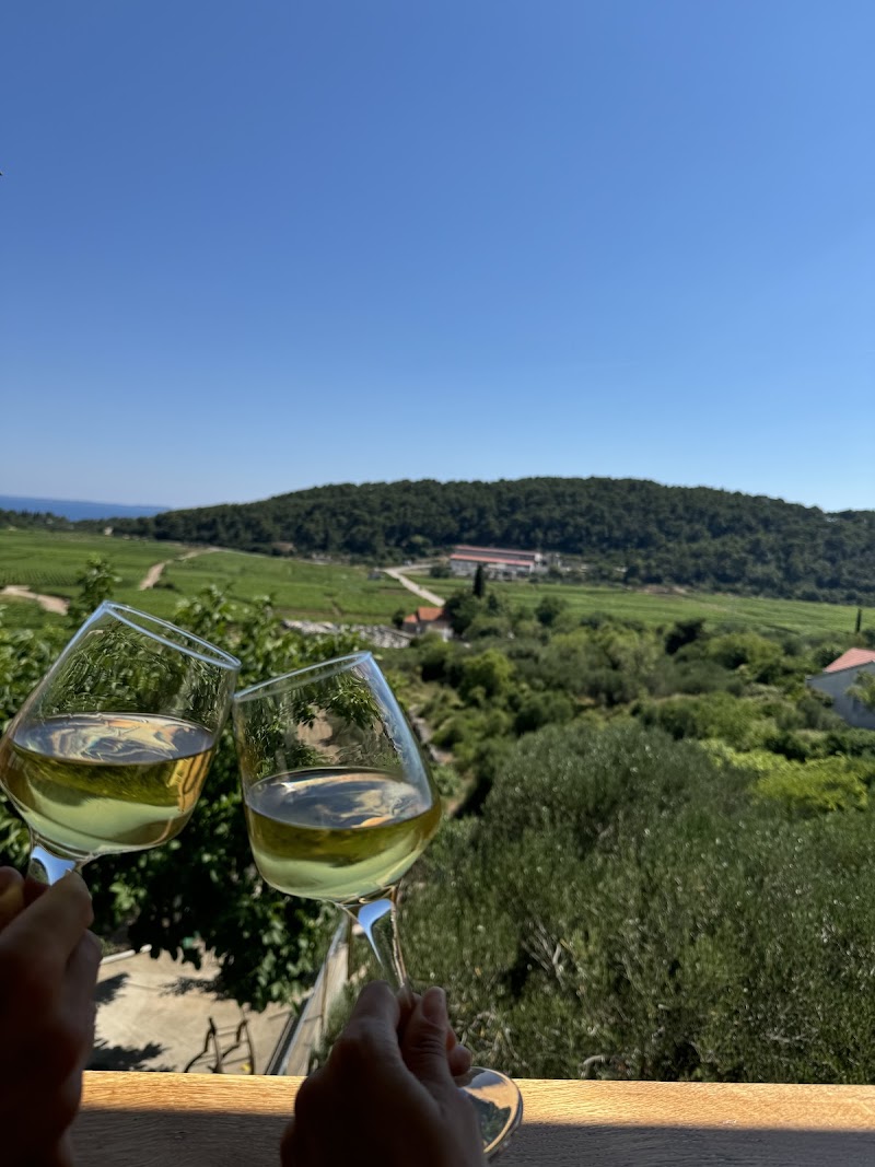 O.P.G. Laus - Winery - O.P.G. Laus - Winery, D118 202, 20273, Čara, Croatia