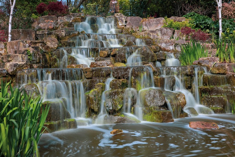 The Regent's Park - The Regent's Park, London, UK