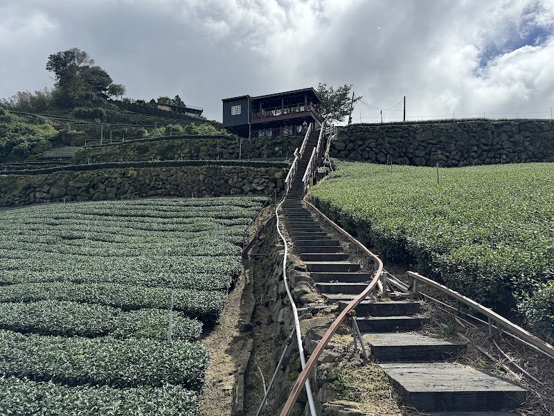 Longzaiwei Trail - Longzaiwei Trail 603, Taiwan, Chiayi County, Meishan Township, 太和巃仔尾步道