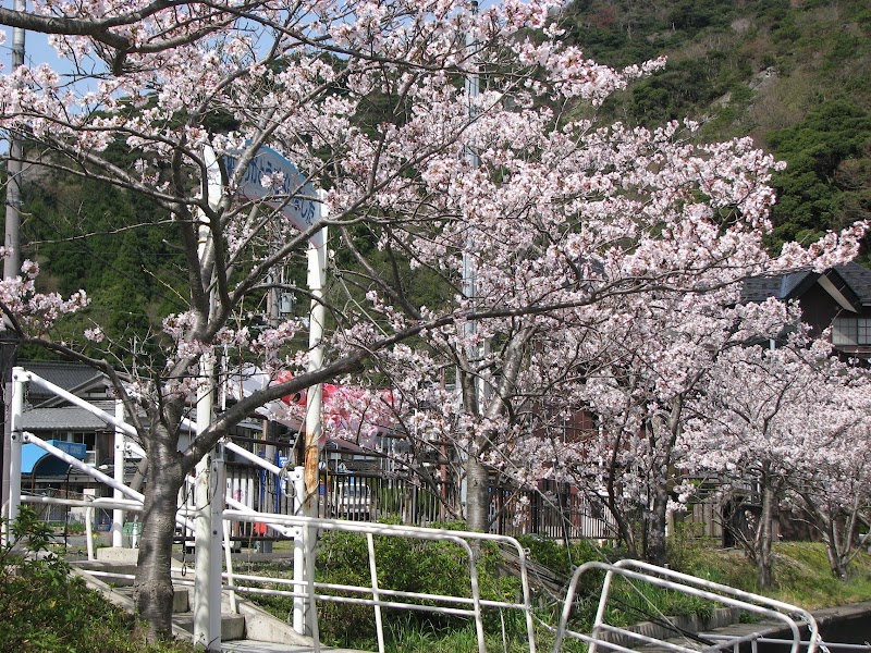 Wakasa Lake Cruise - Wakasa Lake Cruise, Japan, 〒919-1461 Fukui, Mikatakaminaka District, Wakasa, Umiyama, ６８−２０