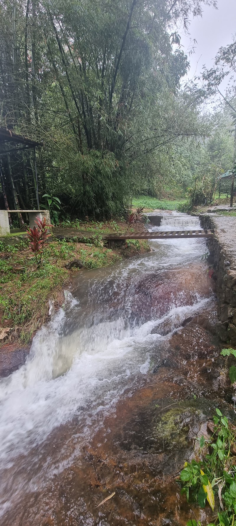 ​Whispering Falls Resort Valparai - ​Whispering Falls Resort Valparai Valparai - Athirapilli Road Valparai, Sholayar Dam City, Pariyaram, Tamil Nadu 642125, India