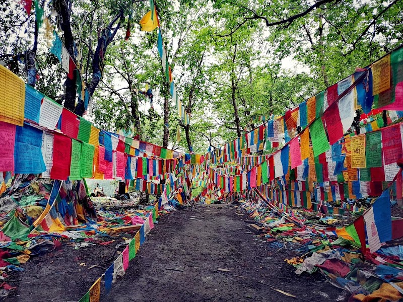 Meili Snow Mountain National Park Scenic Area - Meili Snow Mountain National Park Scenic Area, FR79+JGX, Deqen, Diqing Tibetan Autonomous Prefecture, Yunnan, China, 674500