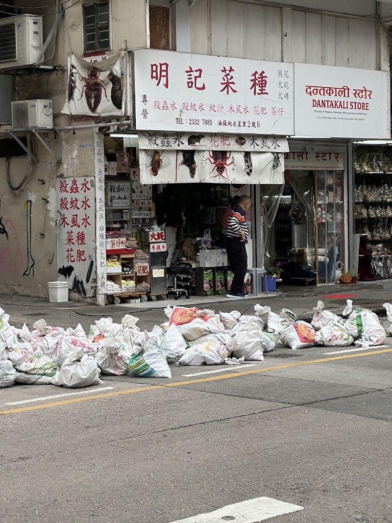 Ming Kee Seed - Ming Kee Seed, Hong Kong, Yau Ma Tei, Wing Sing Ln, 2號B