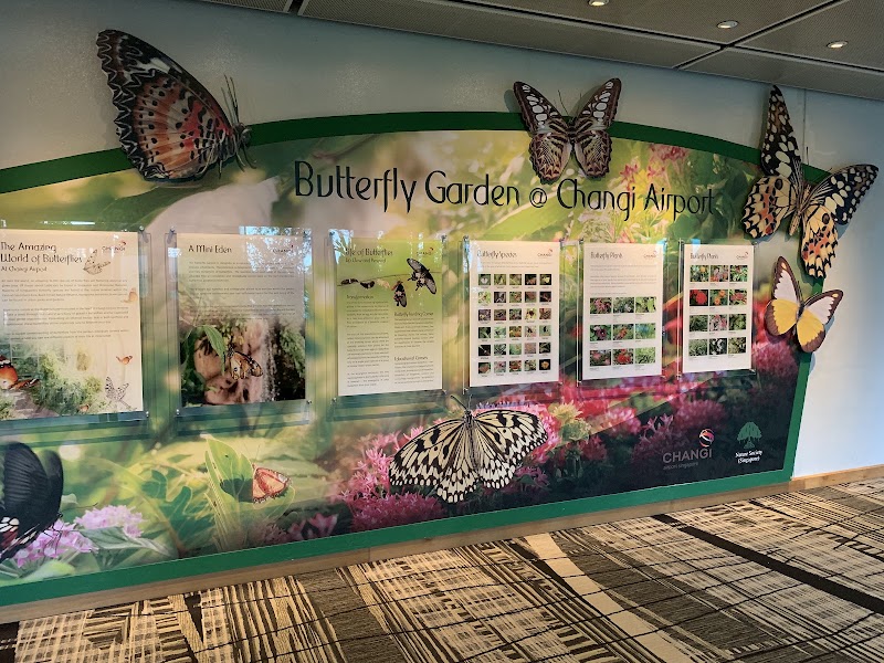 Butterfly Garden - Butterfly Garden 70 Airport Blvd., Singapore 819661