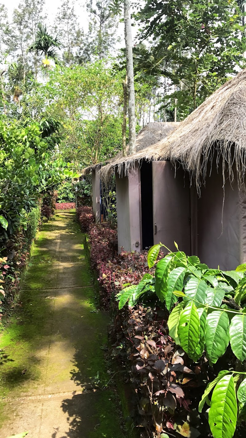 Bopanna's Homestay - Coorg - Bopanna's Homestay - Coorg 7RVJ+V49, Hachinad, Karnataka 571211, India
