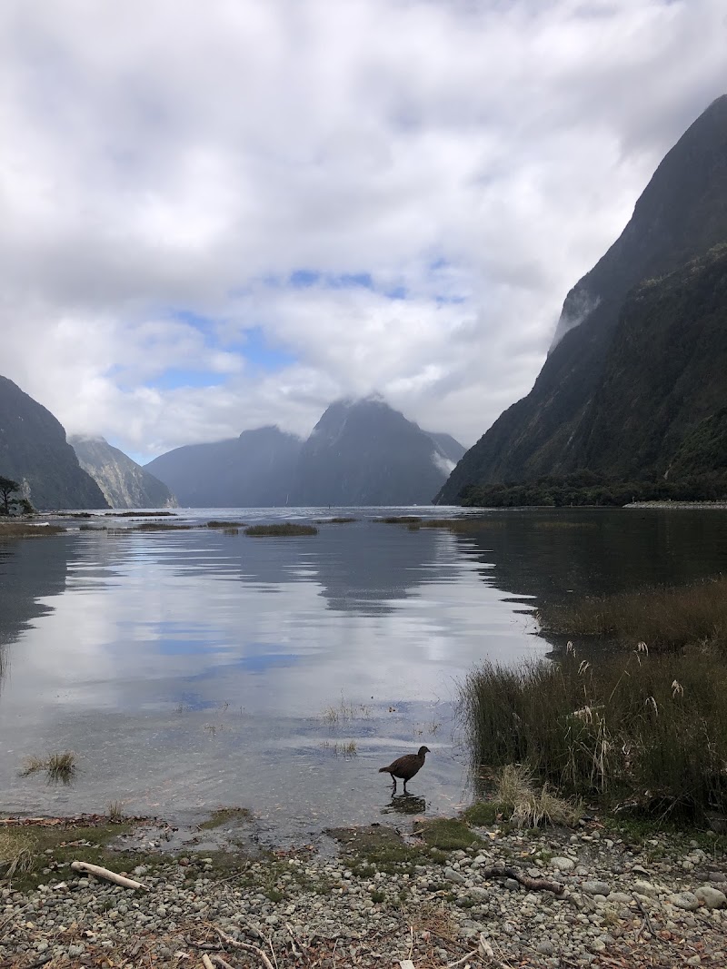 Milford Sound Foreshore Walk - Milford Sound Foreshore Walk, Milford Sound, Milford Sound 9679, New Zealand