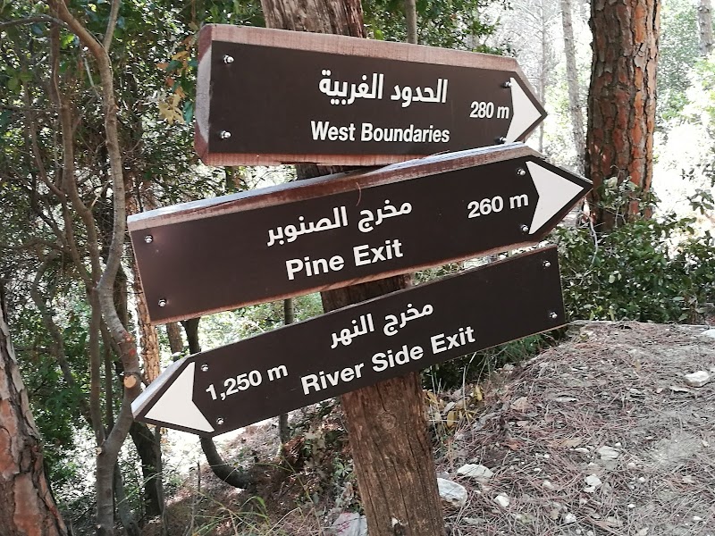 Bentael Nature Reserve - Bentael Nature Reserve, 4MRV+69P, Fidar El Tahta, Lebanon