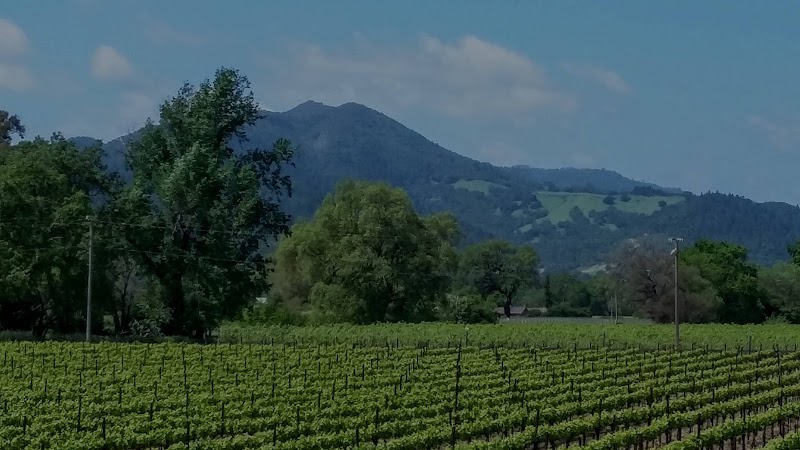 Napa Valley - Napa Valley Napa Valley, CA, USA