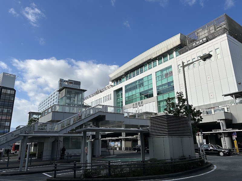 Odawara Terminal Hotel