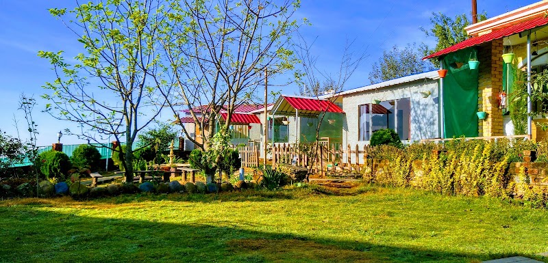 ViewToria Resort - ViewToria Resort Badwala, Dhanaulti, Dhanolti, Uttarakhand 249180, India