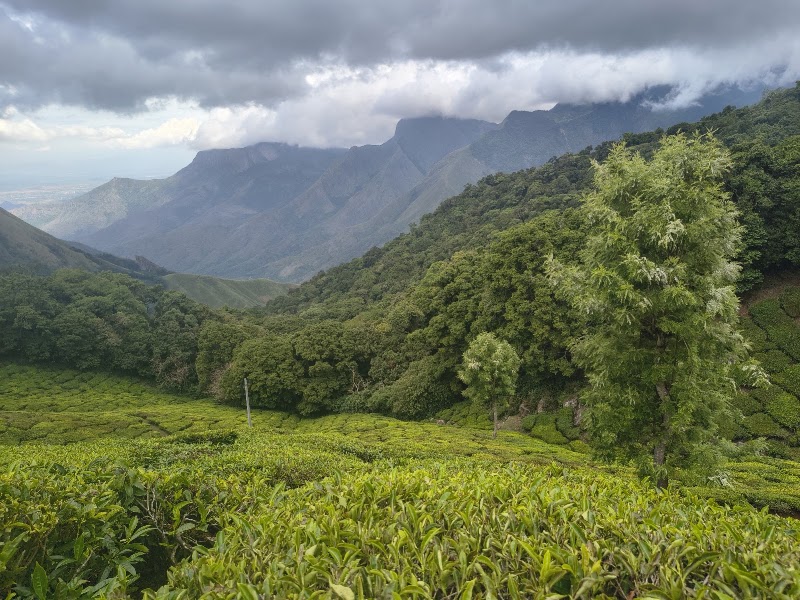 Munnar Bliss holidays - Munnar Bliss holidays Road, Mattupetty, Munnar, Kerala 685612, India