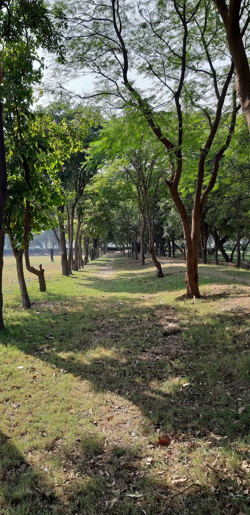 Quaid-i-Azam Campus - Quaid-i-Azam Campus, Lahore, Pakistan