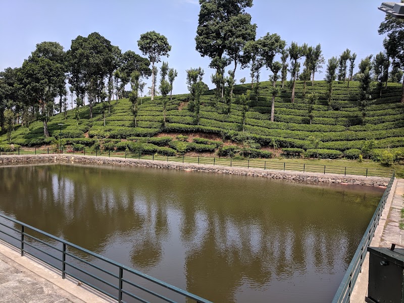 Priyadarshini Tea Environs - Priyadarshini Tea Environs Pancharakolly, Pilakavu, Mananthavady, Kerala 670645, India