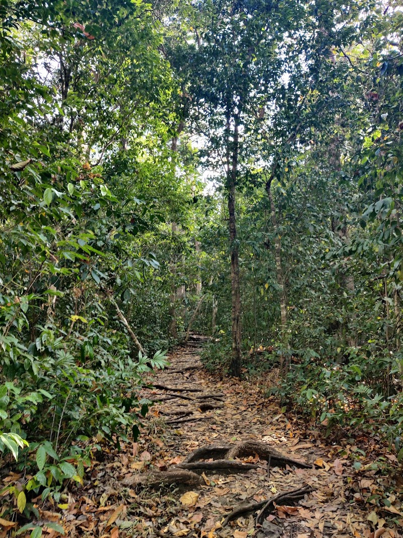 Munda hill View Point - Munda hill View Point FPH6+X8H, Andaman and Nicobar Islands 744105, India
