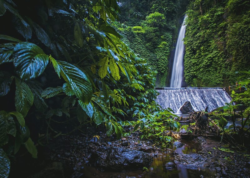 Bali Tour Driver Ubud - Nagiku - Bali Tour Driver Ubud - Nagiku, Jalan Rayan, Nagi, Jl. Raya Andong Banjar Laplapan, Petulu, Kecamatan Ubud, Kabupaten Gianyar, Bali 80571, Indonesia