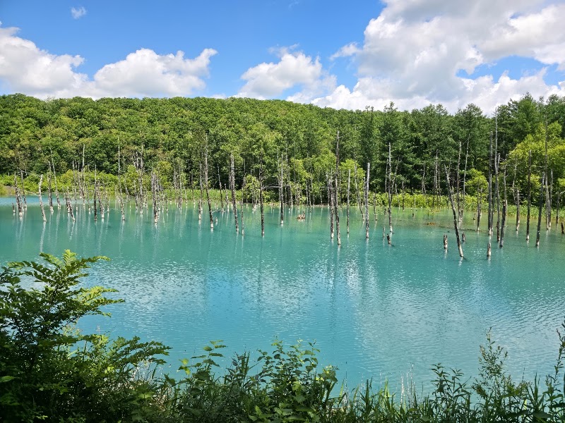 Shirogane Blue Pond (Aoiike)