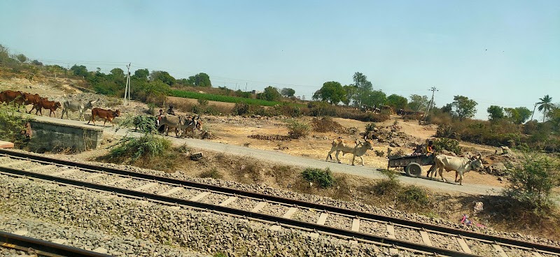 Virpur - Virpur, Gujarat 360380, India