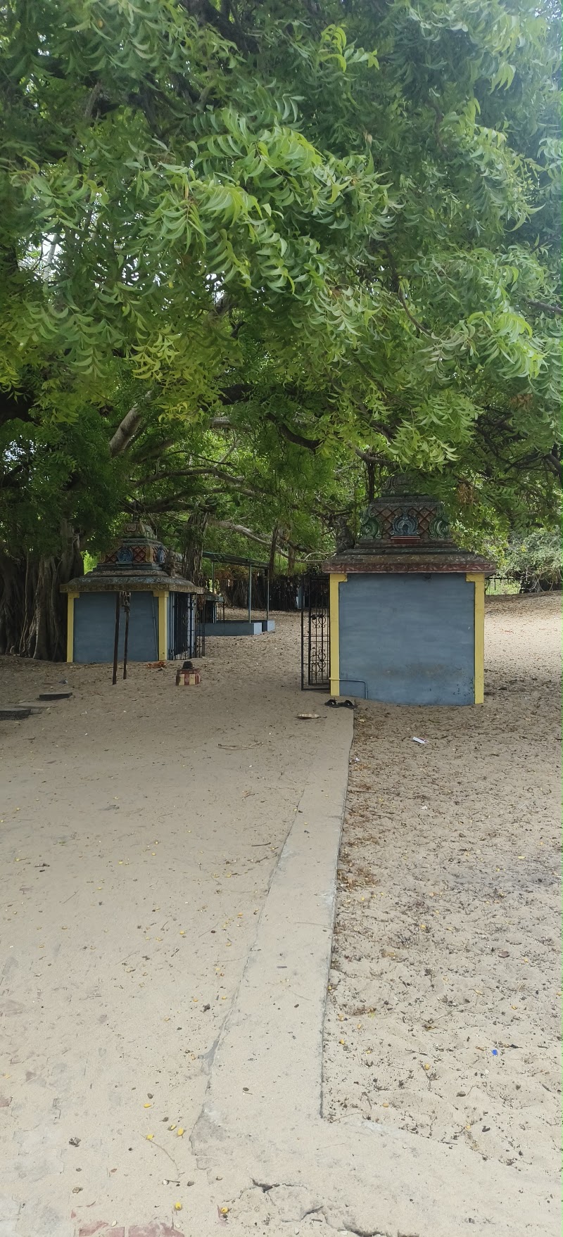 Shri Nambunayaki Amman Temple, Rameswaram - Shri Nambunayaki Amman Temple, Rameswaram, Rameswaram, Tamil Nadu 623526, India