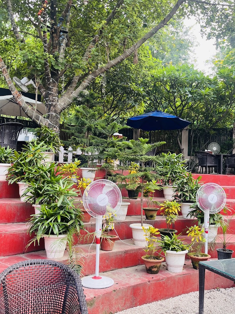 Alimento Restaurant And Cafe - Best Restaurant in Prayagraj |Top Cafe And Restaurant in Prayagraj - Alimento Restaurant And Cafe - Best Restaurant in Prayagraj |Top Cafe And Restaurant in Prayagraj Cantt Police Station, Alka Puri Colony, Prayagraj, Uttar Pradesh 211001, India
