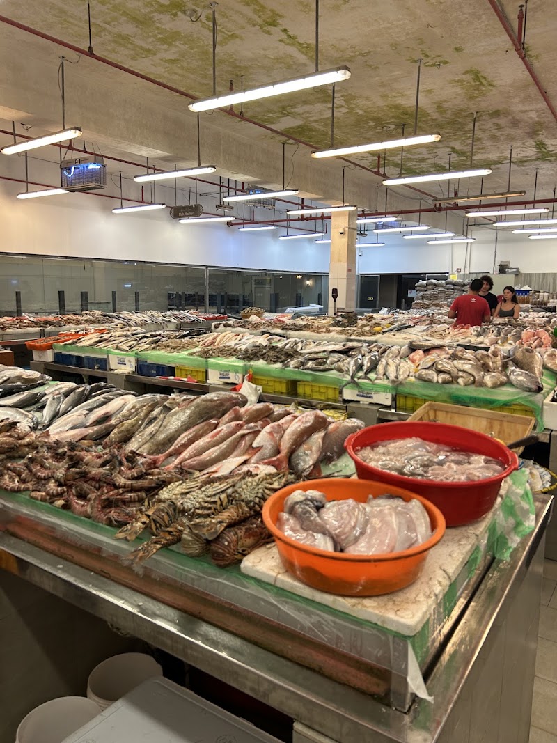 Jumeirah Fish Market سوق البحر للاسماك - Jumeirah Fish Market سوق البحر للاسماك Jumeirah 3 - Umm Suqeim 1 - Dubai - United Arab Emirates