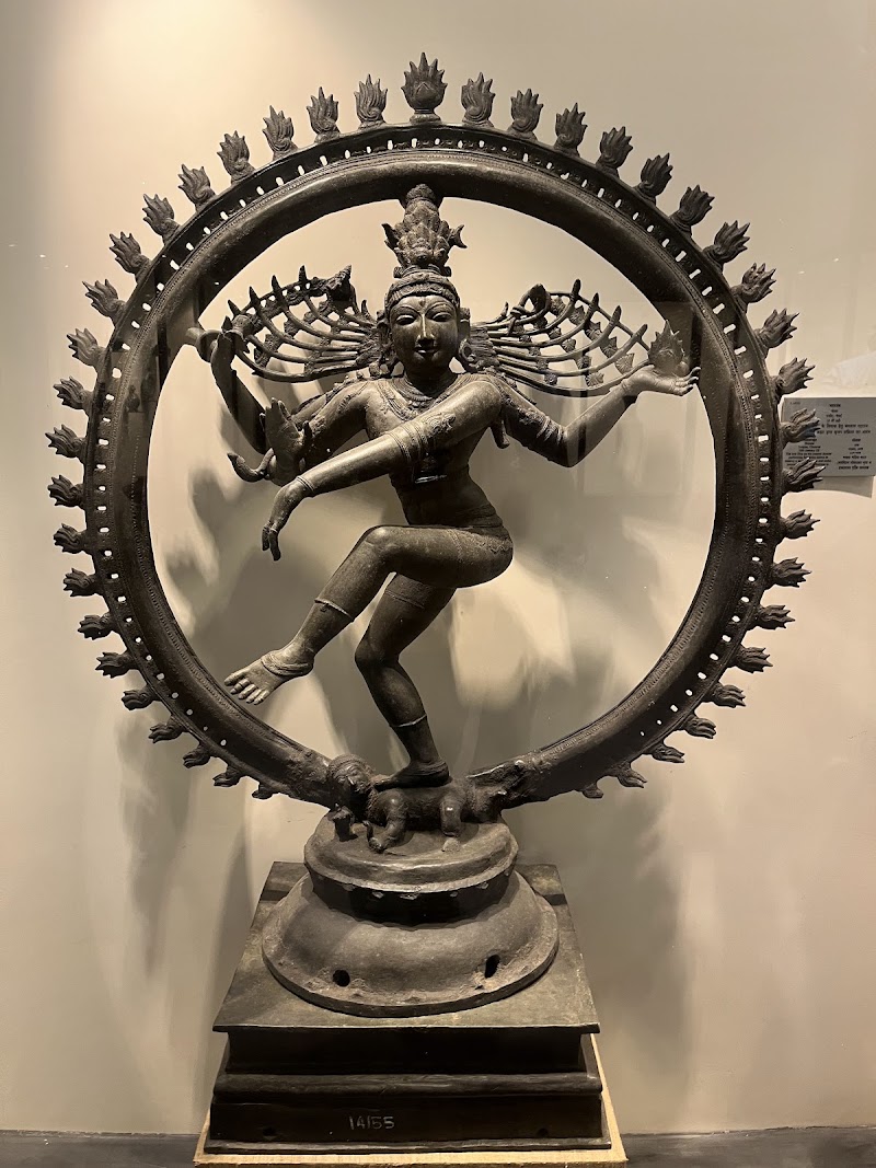 Indian Museum - Indian Museum 27, Jawaharlal Nehru Rd, Colootola, New Market Area, Dharmatala, Taltala, Kolkata, West Bengal 700016, India