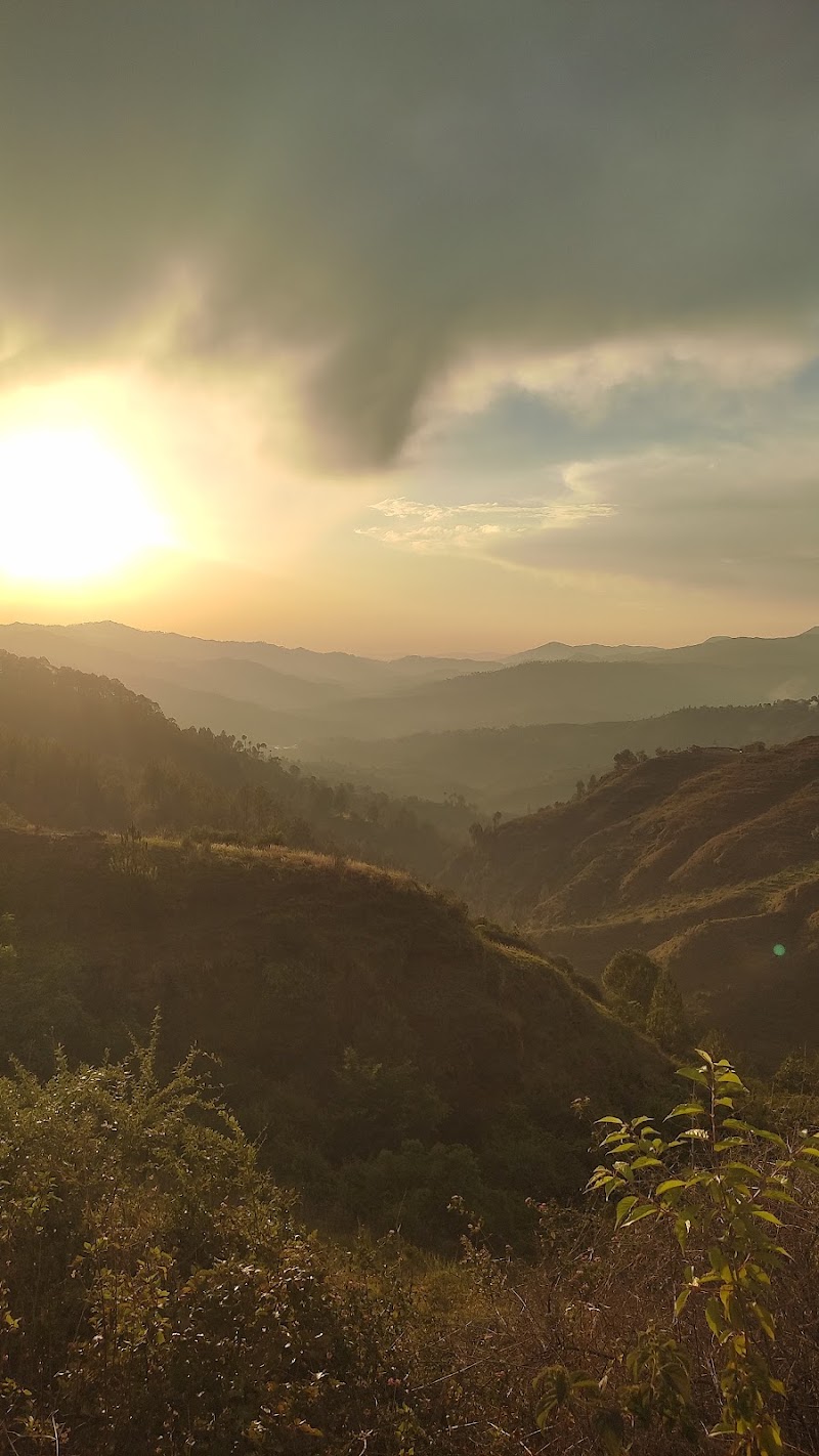 Almora hills - Almora hills HJWX+FX2, Unnamed Road, Paltan Bazar, Khatyari, Almora, Sarso, Uttarakhand 263601, India